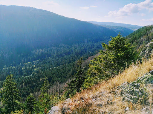 Hahnenklee Crags - Thumbnail