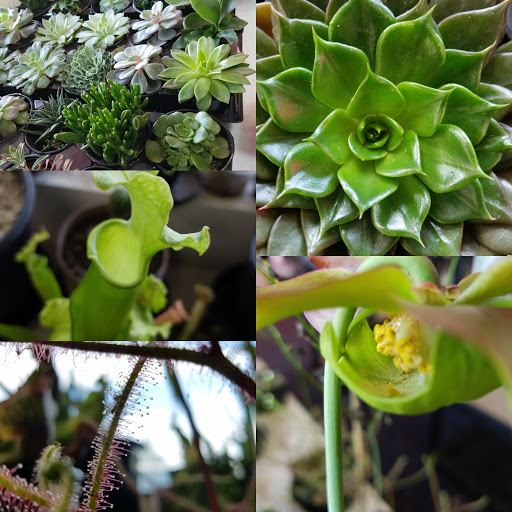 Living Earth Grow Supply - Thumbnail