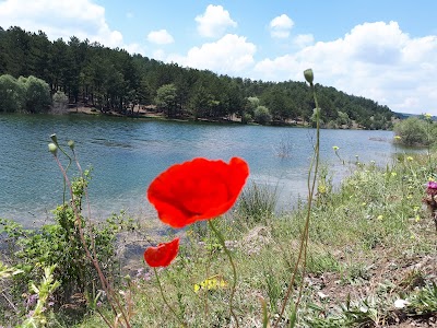 Evciyenikışla Göleti