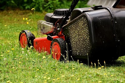 Photos of Parramatta Lawn Care