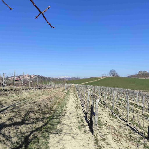 Big Bench #134 Moncucco Torinese - Thumbnail