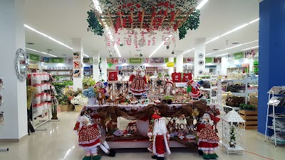 Photos of MIKSA MONTERIA
