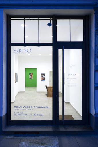 Siddiq Projects - Visual