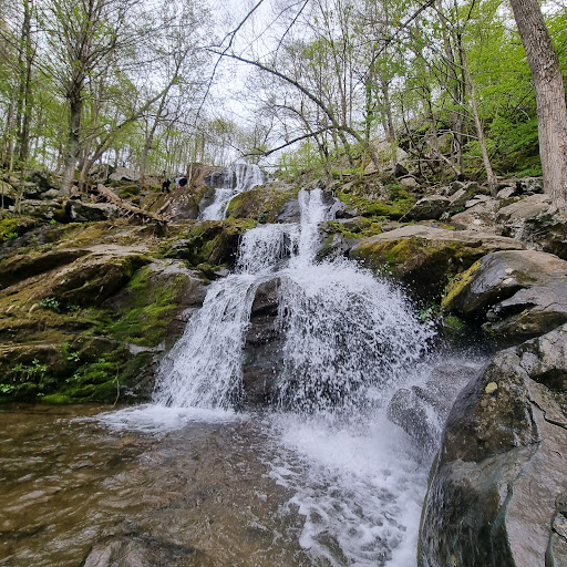 Dark Hollow Falls, Shenandoah National Park