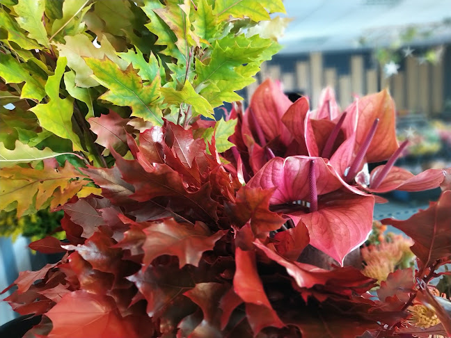 https://www.fleursdalain.fr/
