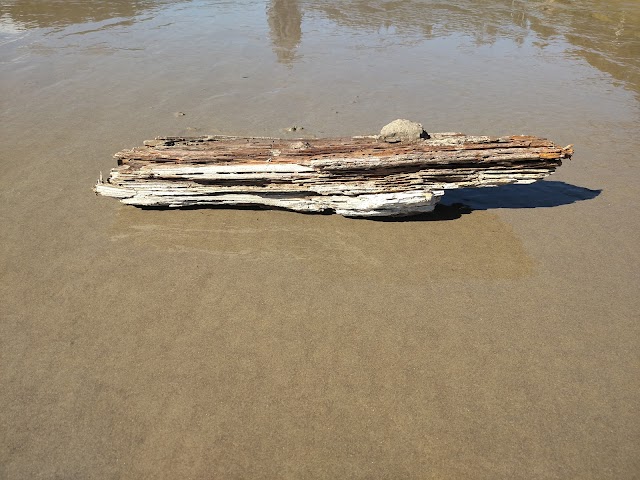 Ecola State Park