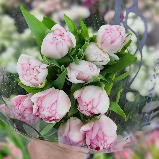 Berkeley Florist Supply - Thumbnail