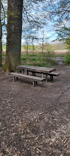 Ziegelhäule Lienzingen - Thumbnail