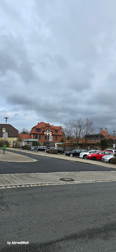 Scheinfeld - Visual