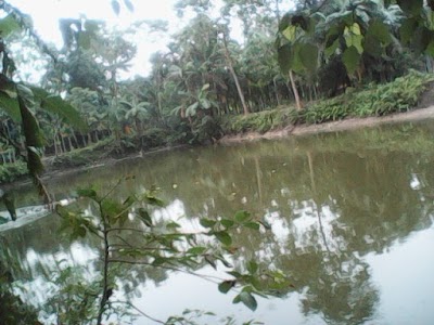 Photos of Kasim Bazar Bus Stop