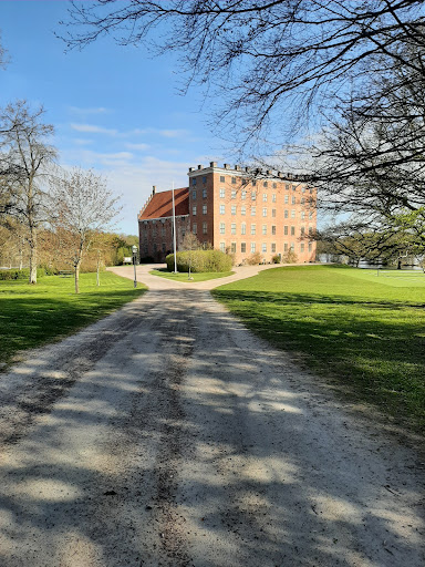 Svaneholm Vassen - Thumbnail