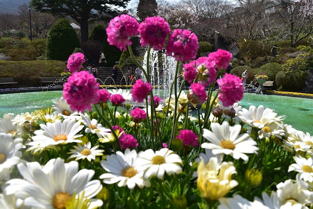 Hakone Gora Park