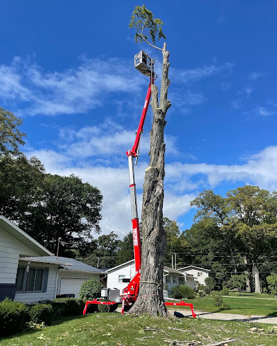 Kuiper Tree Care