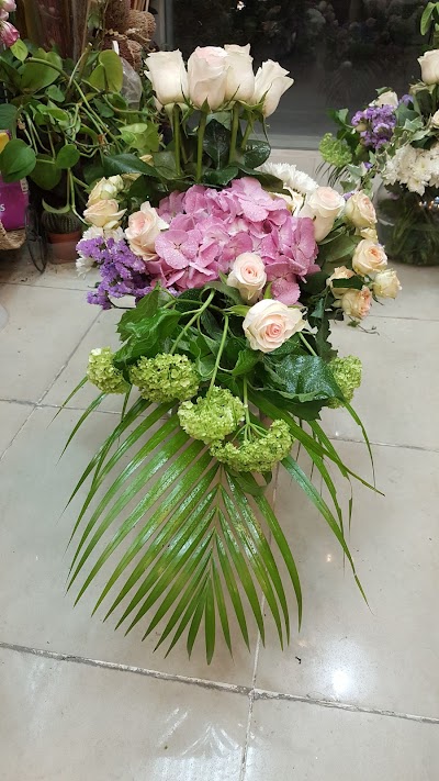 Photos of top flowers