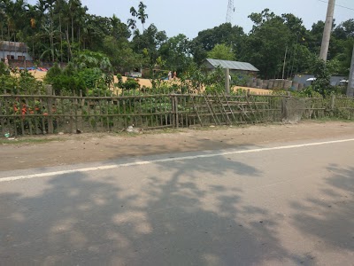 Photos of চয়ন নার্সারি