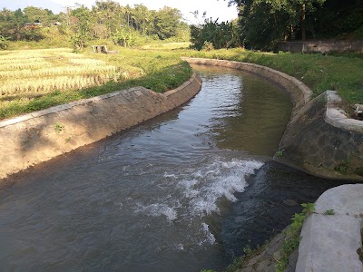 Photos of Spring Mudalsari