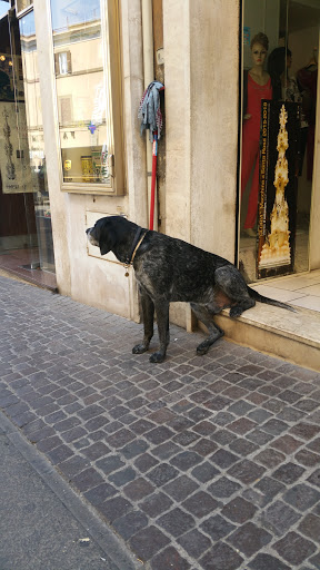 Emporio Pesca