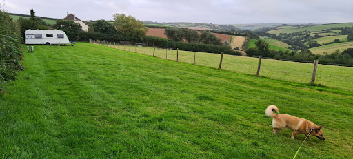 Higher Norton Farm Gallery - United Kingdom