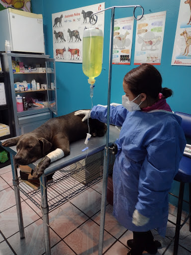 Centro Veterinario de Atlacomulco
