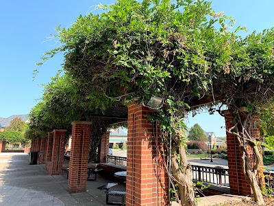 Fairfield Lane Library