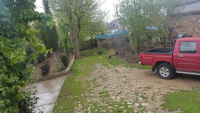 Photos of A medical clinic and a veterinary clinic
