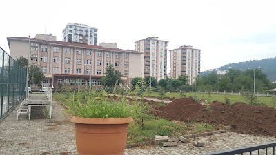 Fats Science High School Dormitory