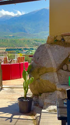 Photo n°14 de Le Moot Bar Tapas Vermuteria & Cactus à Eus (Restaurant de tapas)