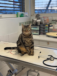 Photo n°14 de Clinique Vétérinaire de L' ARTEL à CASTELSARRASIN à Castelsarrasin (Clinique vétérinaire)