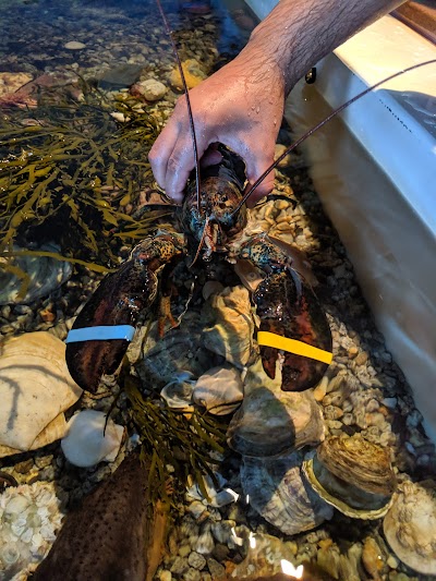 Maine State Aquarium