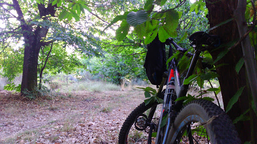 Bici A Punto - Thumbnail