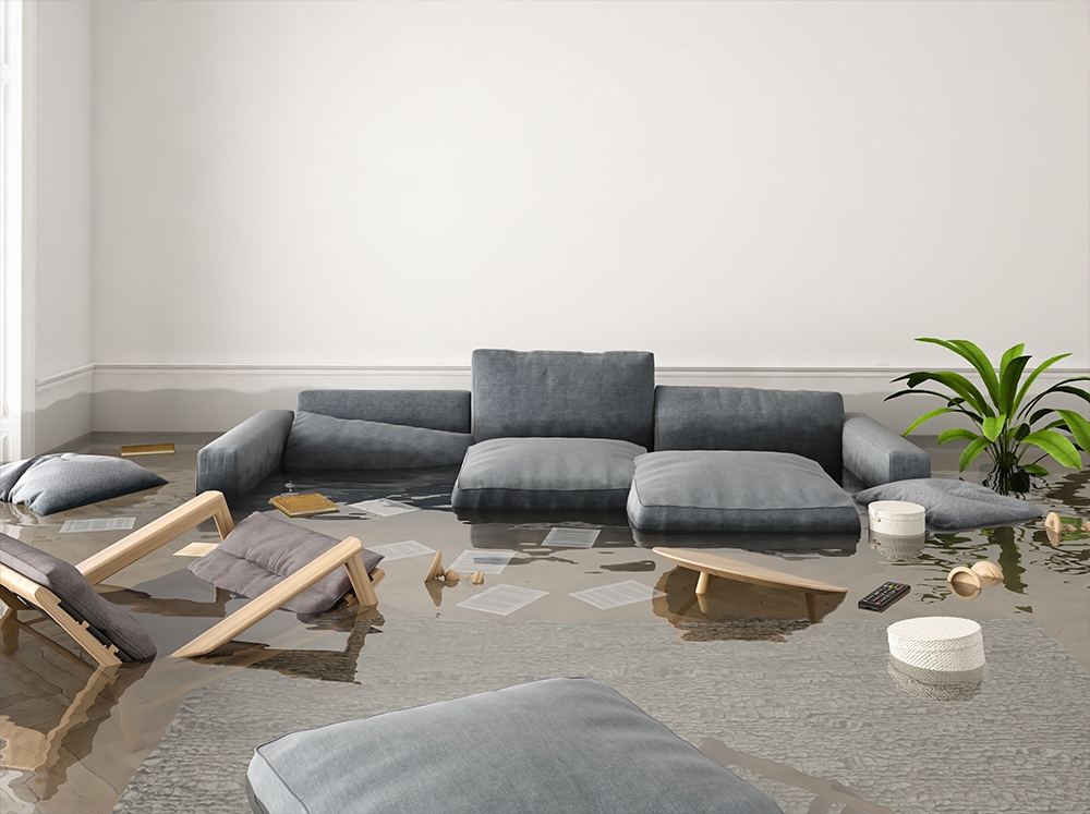 Insurance Reconstruction Services, LLC photo