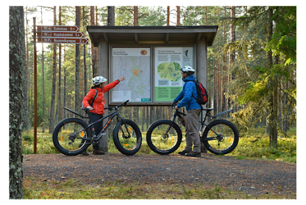 Kauhaneva-Pohjankangas National Park - Karvia