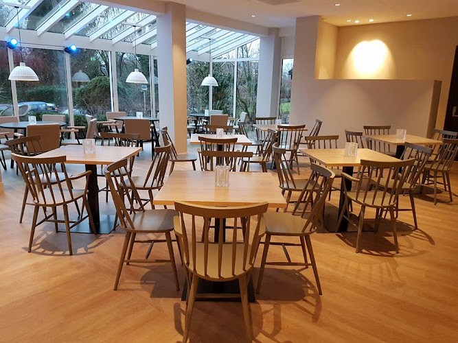 Gastronomie Stühle / Barhocker / Stapelstühle - Horeca Мöbel photo