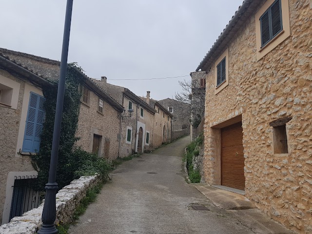Salt Des Freu