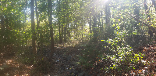 Leo E. Wilson Community Park - Thumbnail
