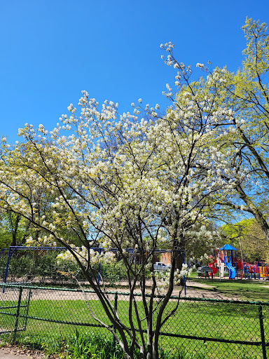 William-Bowie Park - Thumbnail