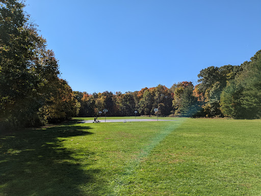 Tennyson Park - Thumbnail