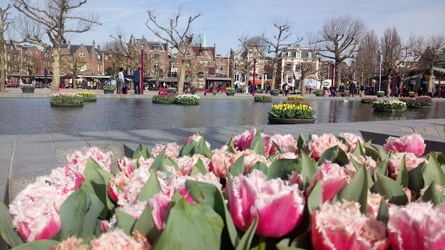 I Amsterdam Sign