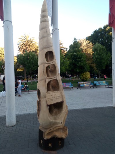 Photos of Tenerife Hostel