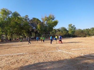 Photos of An Nasr Forest