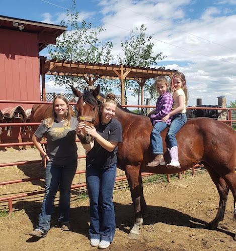 Second Chance Equestrian