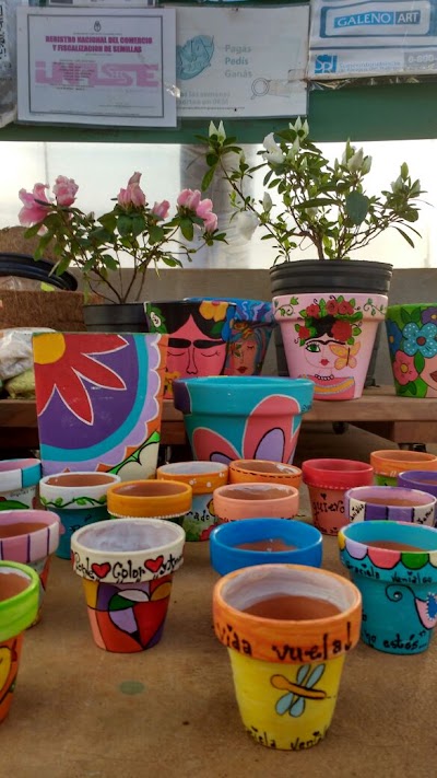 Photos of Vivero Miguel