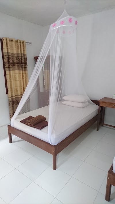 Photos of Tangkoko Lodge