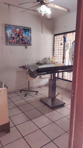 Clínica Veterinaria La Mascota - Thumbnail
