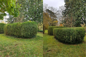 Photo n°11 de Bauer multiservices à Perpignan (Paysagiste)