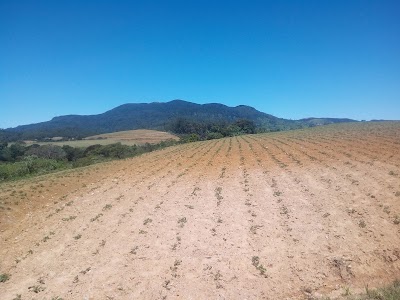 Photos of Government Seed Potato farm Seethaeliya