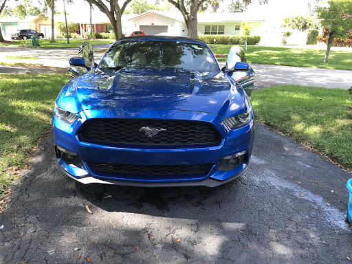 CAR REQUEST - Visual