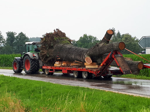 Leitenbach Abzw. Seemühle, Mainburg