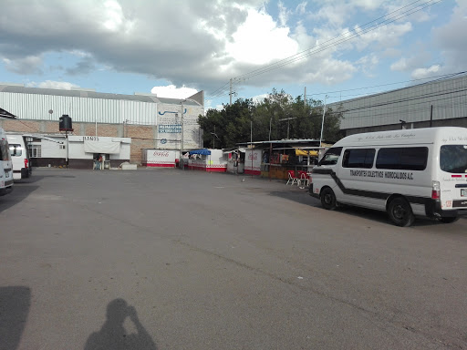 Central de Combis Aguascalientes - Visual
