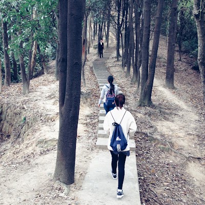 Photos of Huolushan Forest Park